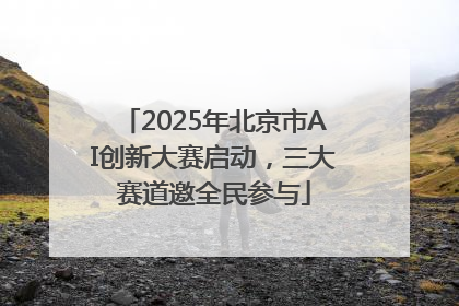 2025年北京市AI创新大赛启动，三大赛道邀全民参与
